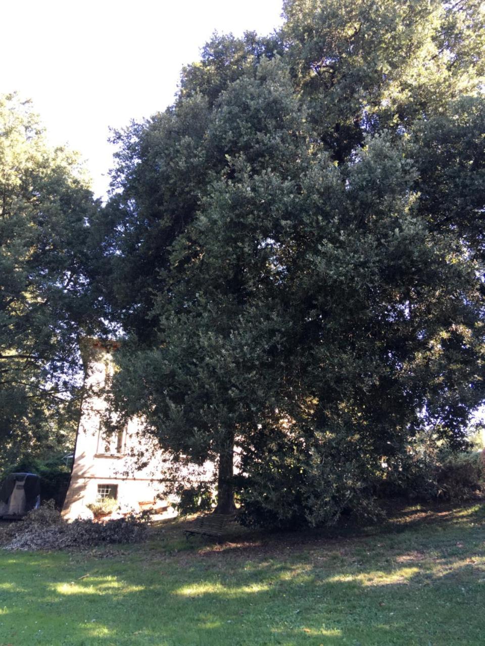 Villa La Dogana Lucca Exterior photo